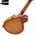 High-end Handmade Abnormity Mandolin