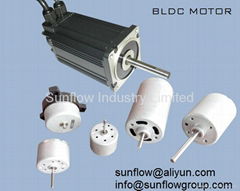 sensorless brushless motor