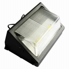 SP-WP-002-60W/CW LED Wall Pack Light