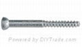 Cortical Screws(Half-Threaded)--Implants, Bone graft, Orthopaedics, Tornillo