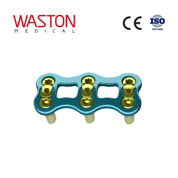 WALEN Anterior Cervical System--Orthopedic implants, Minimally invasive, Spinal