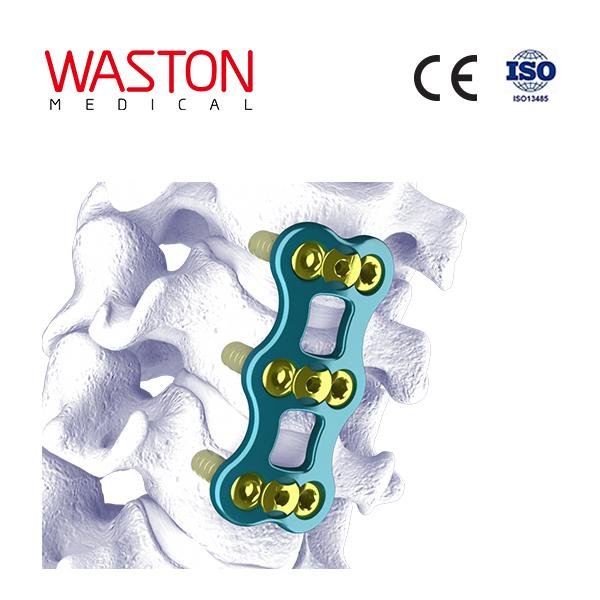 WALEN Anterior Cervical System--Orthopedic implants, Minimally invasive, Spinal 2