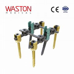 ( Master 10 ) Spinal System--Fracture, Orthopedic implants, Minimally invasive