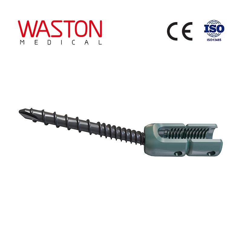 ( Master 10 ) Spinal System--Fracture, Orthopedic implants, Minimally invasive 2