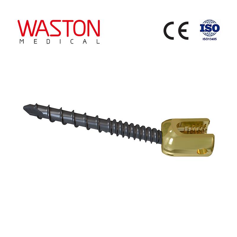 ( Master 10 ) Spinal System--Fracture, Orthopedic implants, Minimally invasive 5