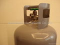 Anti-Blast Safety Valve for LPG gas cylinder 2