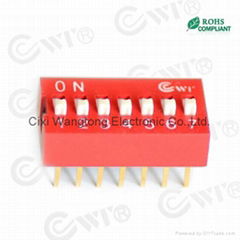 DIP SWITCH DS  TYPE