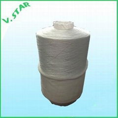 Nylon Twisted Yarn 170D/12F