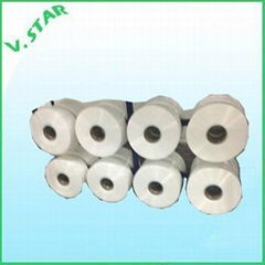 Polyester mother yarn 200D/10F