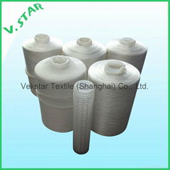 Polyamide (PA) Sewing Thread 