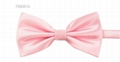 Polyester Bow Ties 14