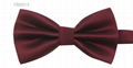 Polyester Bow Ties 17