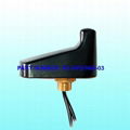 Dual-Band(GPS/Wifi)Antenna 1