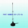 LTE/4G Antennas 1