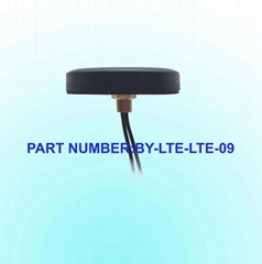 Lte/4G Screw Mounting Antenna