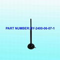 Wifi（2.4GHz）Antenna 1