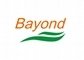 Bayond Light Co. Limited