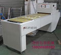 blisters sealing machine 1