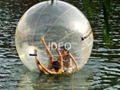 Water Walking Ball 1