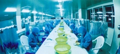 shandong zibo shanchuan medical equipment co.,ltd. shandong zibo shanchuan medical equipment co.,ltd.