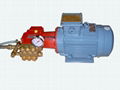 美國GIANT高壓泵P200接