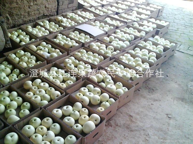 Level Baiqin Guan Apple is buying packaging export