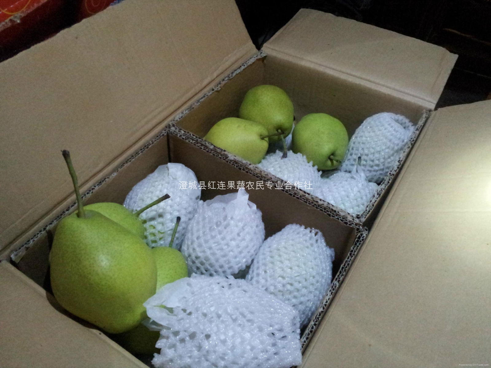 Large supply of red crispy pear