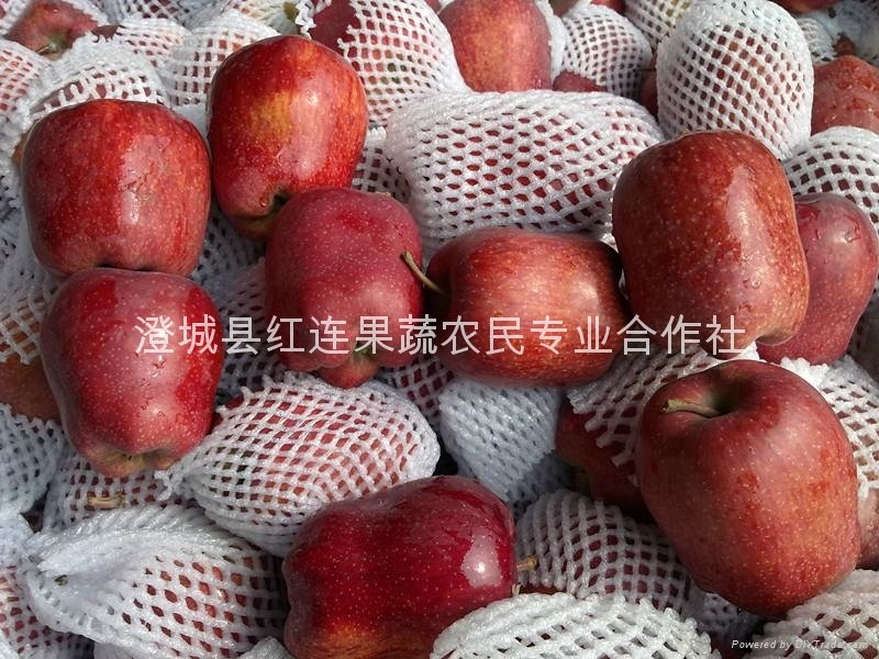 Large supply Huaniu Apple 4