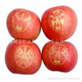 Shaanxi lettering large supply Fuji apple 1