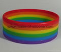 Segmented 6 Colors Silicone Wristbands