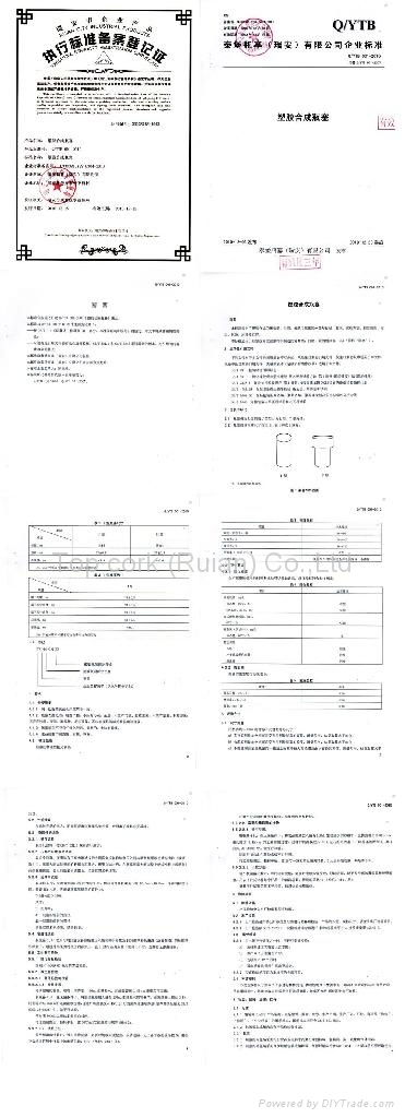 Implementation of standards in 2010