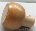 Wooden cap synthetic cork bottle stopper TBW20-birch varnish-showpiece 1