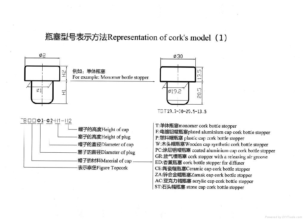 Representation of cork's model（1）