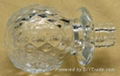Glass cap cork bottle stopper TBGL24-37.8-43.3-21.5-70.3