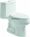 The Chinese OEM Of KOHLER Toilet HTZ