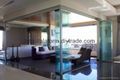 Custom All Glass Slide & Turn Doors Systems 3