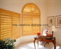 Custom Wooden or Vinyl Shutters  5