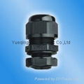High quality Cable Gland  1