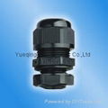 High quality Cable Gland 