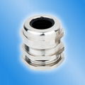 Metal Cable Gland(high quality)