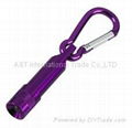 Carabiner with LED Light 