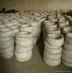 Electro galvanized wire