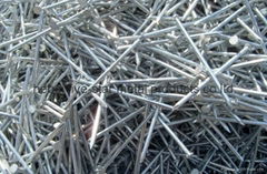 Galvanized nails