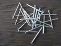 Galvanized nails