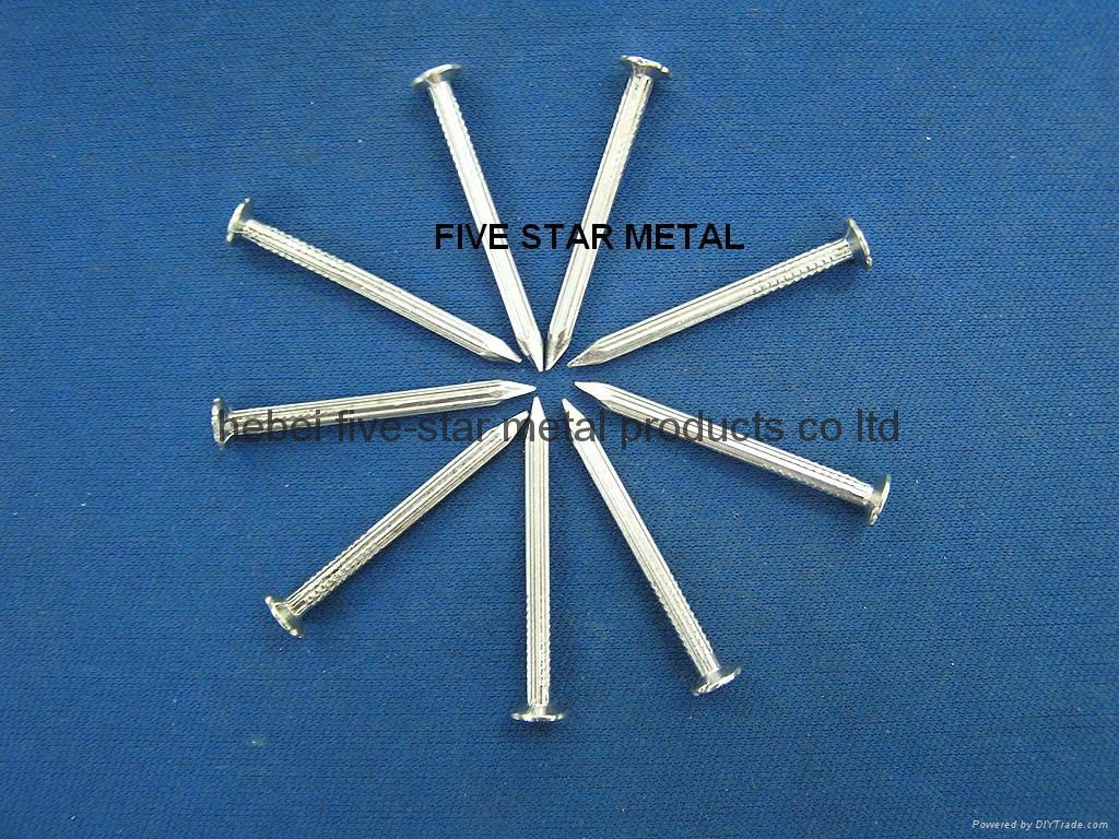 GALVANIZED CONCRETE NAILS 2