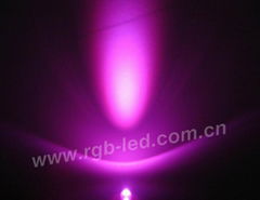 Pink LED