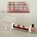  Bamboo Glass Tubes Ant Nest With Active Zone Ants Castle Workshop Ants Villa 