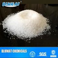 Anionic Polyacrylamide 1