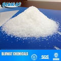 Anionic Polyacrylamide 4