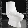 Siphonic One-piece Toilet